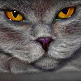 Всё суета | Нраффити