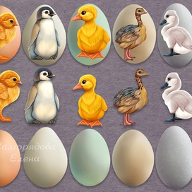 Детская игра сортер