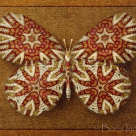 Symbol butterfly 15
