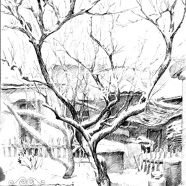 Зимний дворик