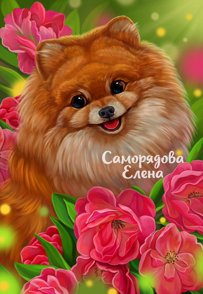 Шпиц и цветы