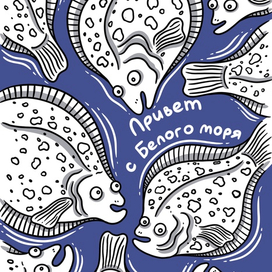 привет с белого моря