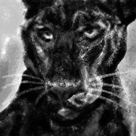 Черная пантера