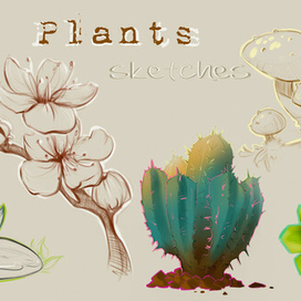 Plants