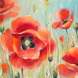 Лунные маки