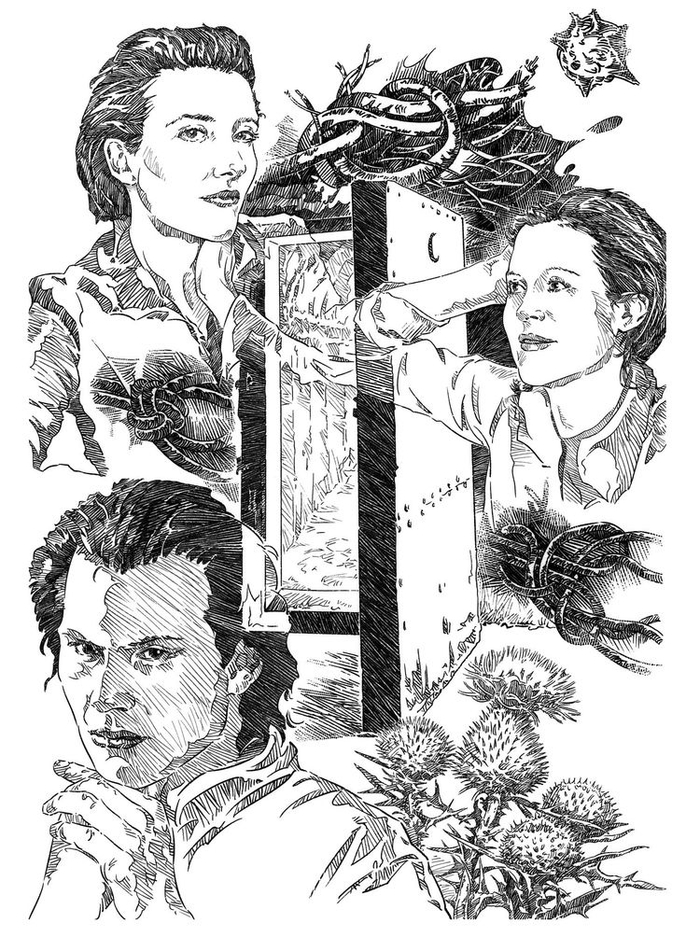 Выше головы , Дело №6 - Иллюстрация №1