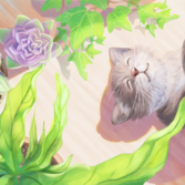 Сладкий сон