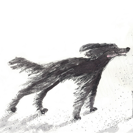 Пёс  и вентилятор 