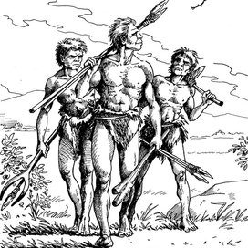 Нао, Нам и Гав