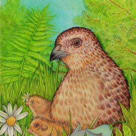 Перепелята с мамой