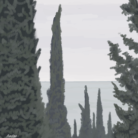 Крымские кипарисы в октябре