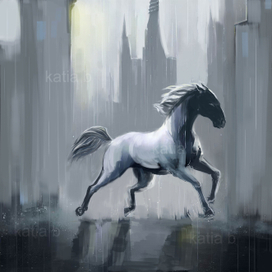 White Horse under the rain