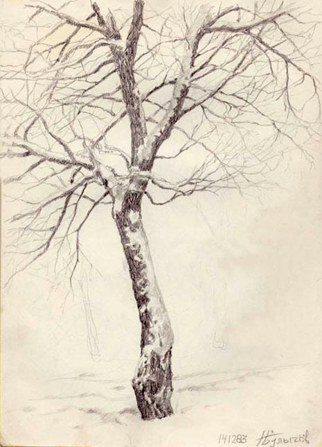 Зимнее дерево