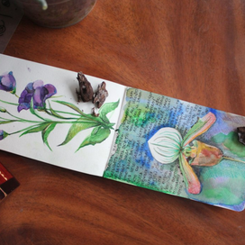 Сказки о растениях