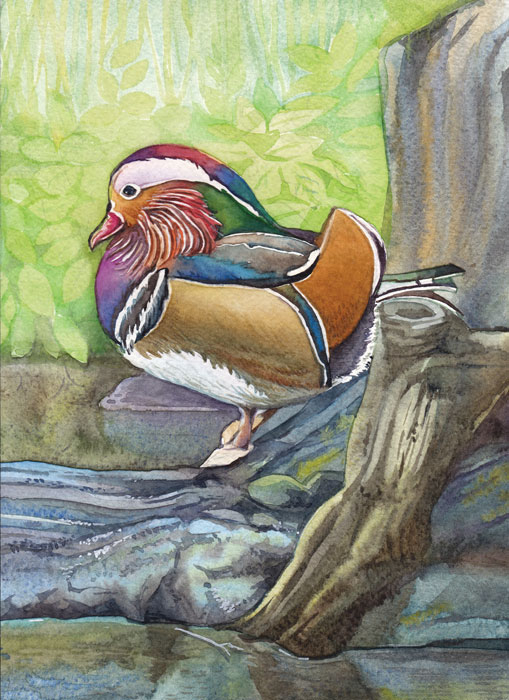 Мандаринка