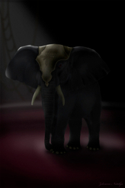 После представления