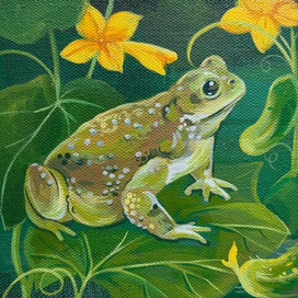 Из серии "Животные"