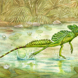 Василиск Прокофий