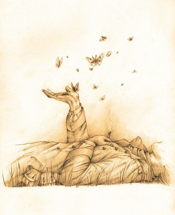 Летите,бабочки,летите!