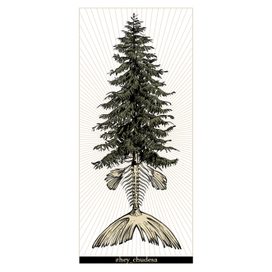 Метаморфозы