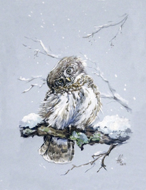 "Что принес?"