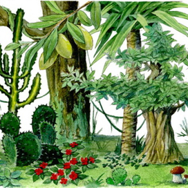 Рисунок к учебнику