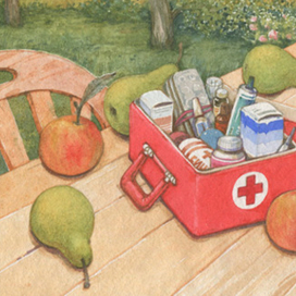 Аптечка для дачи