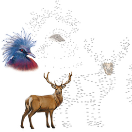 рисуем по номерам