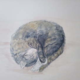 Спокойствие