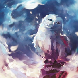 Космическая сова