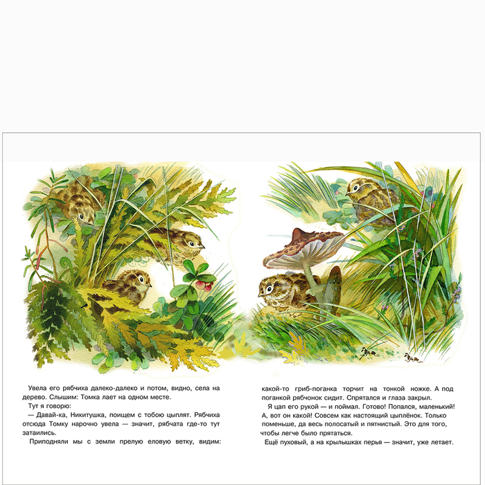  Е.Чарушин "Про Томку"