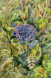 Портрет пенька