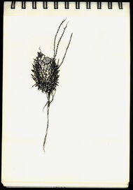 Зарисовка 2