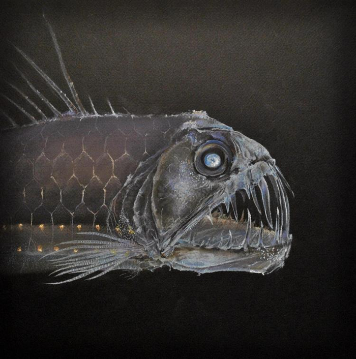 Глубоководное