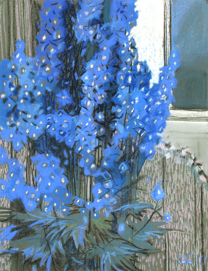 Дельфиниумы. 