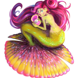 Mermay. Seashell