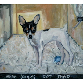 собачка из Нью-Йорка