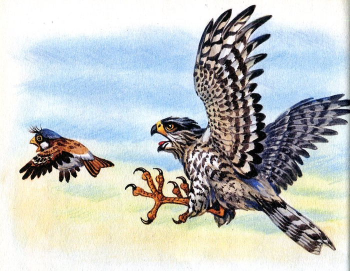 Воробей Воробеич и другие...