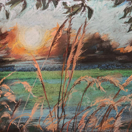 Вечернее волнение