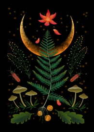 Ночь на Ивана Купалу