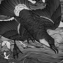 Песнь о буревестнике