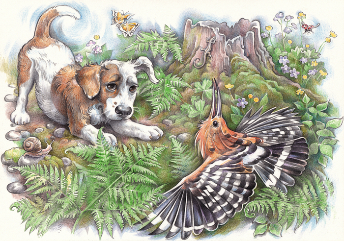 Первая охота