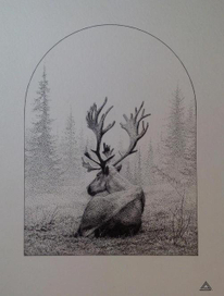 в утреннем тумане