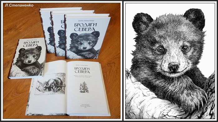 БРОДЯГИ СЕВЕРА. Книга