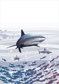 Иллюстрация для каталога