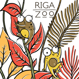 еще лягушки :)