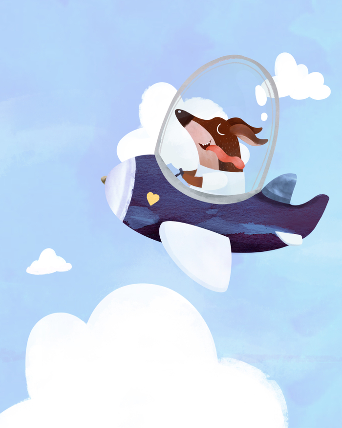 собачий полет 