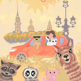 Иллюстрация для сервиса ST.PET