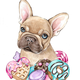 Бульдог с вкусняшками