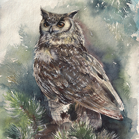 Филин в хвое